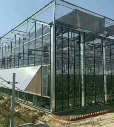 智能溫室大棚的發(fā)展趨勢