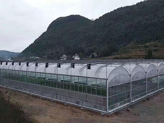 薄膜連棟溫室